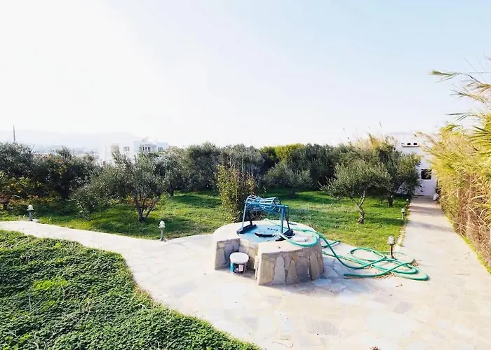 Seafront House Irini Holiday home Naousa (Paros)